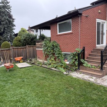 mississauga backyard