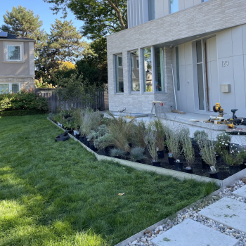 modern-front-yard-softscape-lord-seaton-toronto