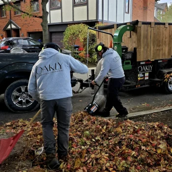 property-maintenance
