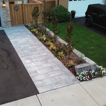 sod and landscape installation front yard
